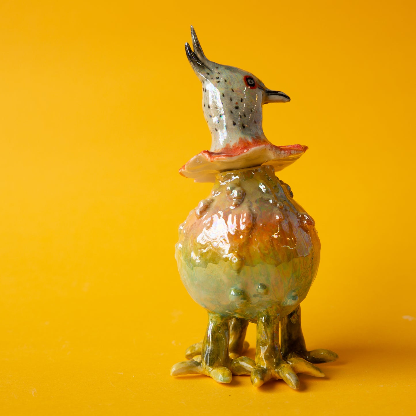 Crested Pigeon Pumpkin