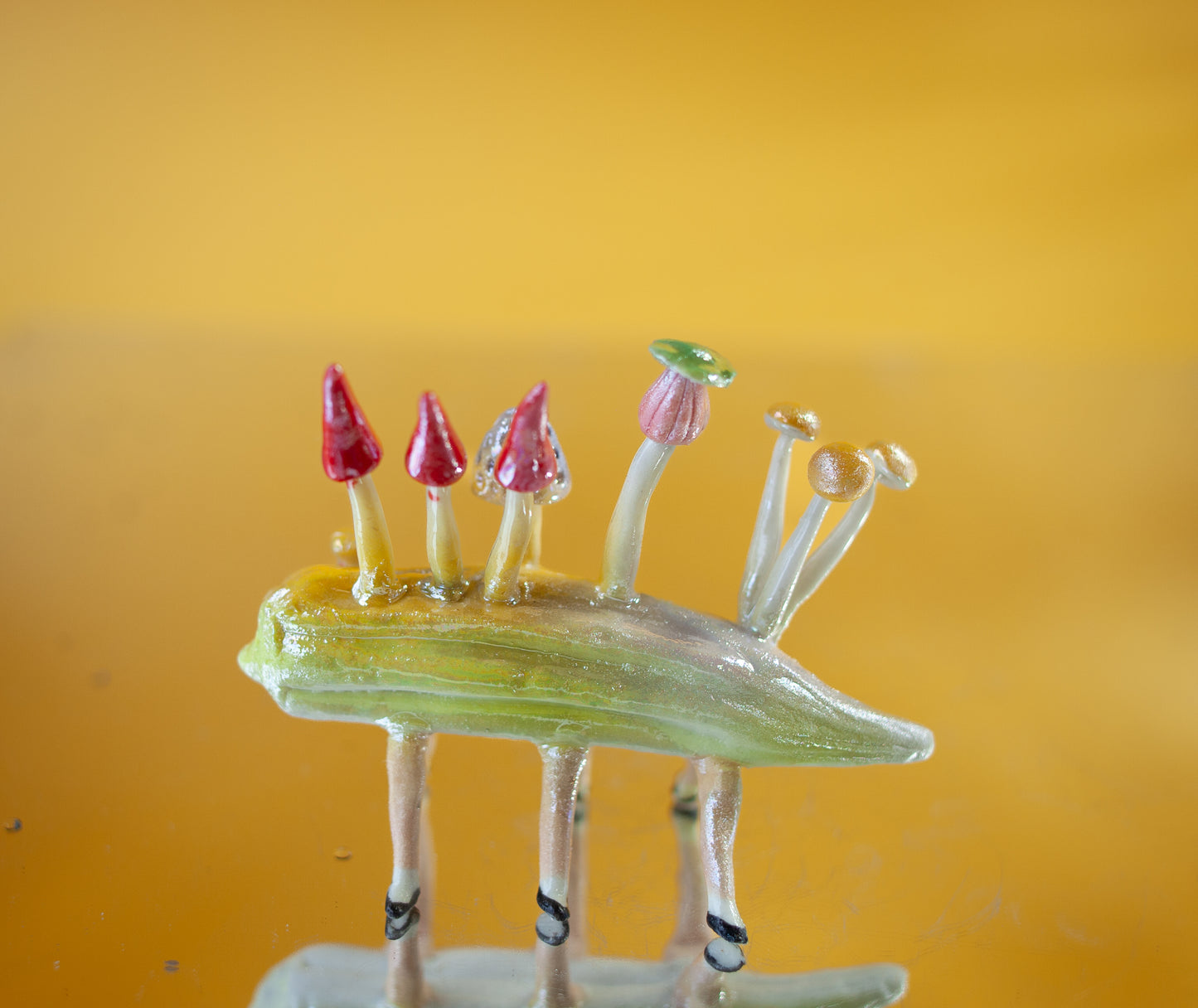 Dancing Okra
