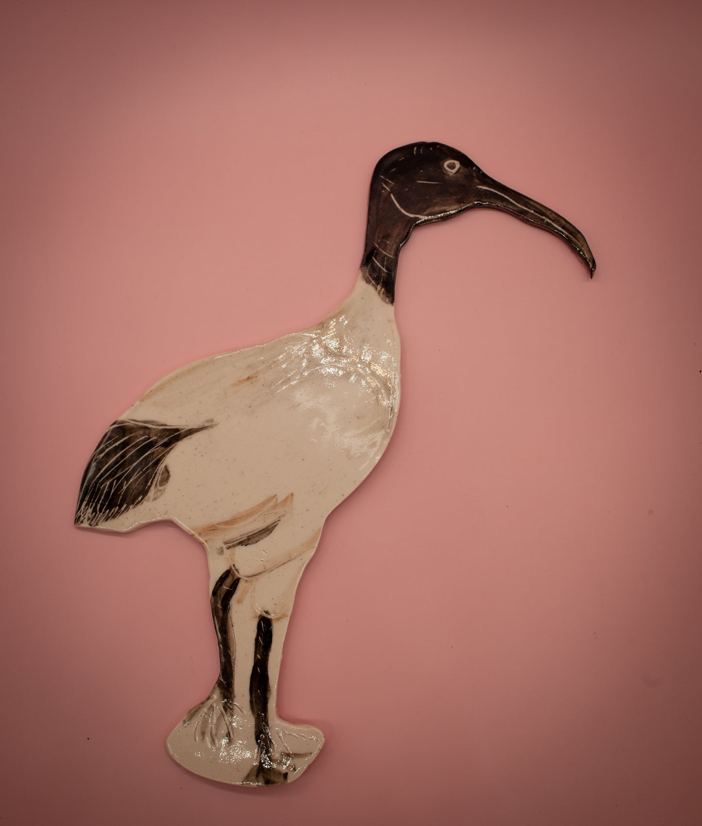Ibis