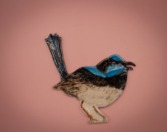 Superb fairywren