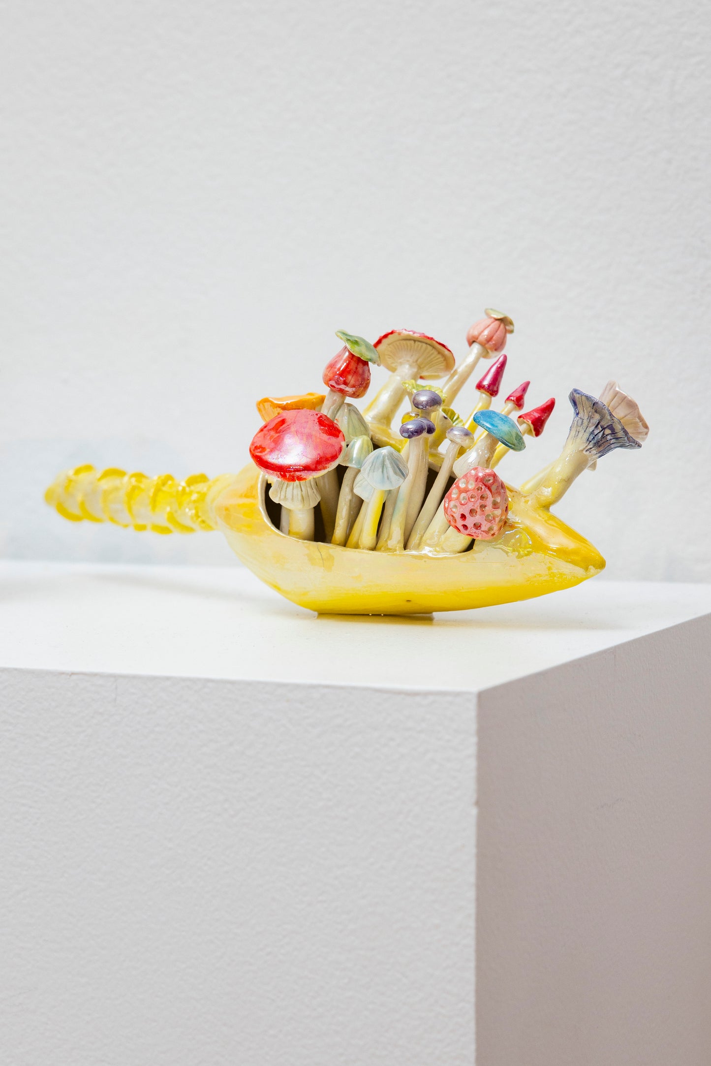 41. Banana Flower 2