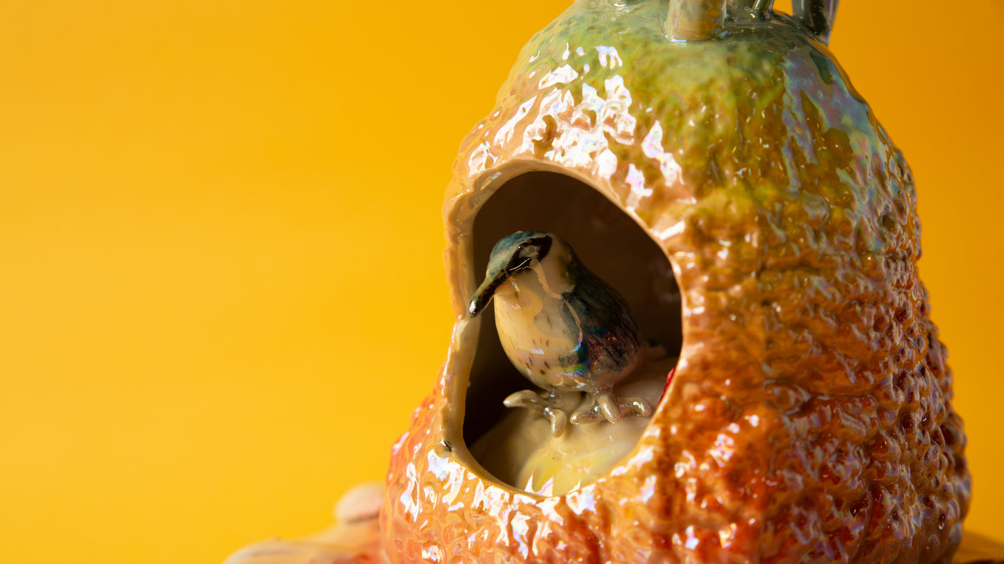 Kingfisher in the Pomelo