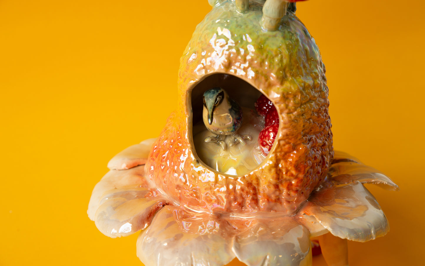 Kingfisher in the Pomelo