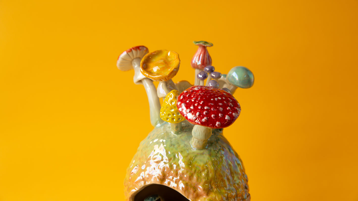 Kingfisher in the Pomelo