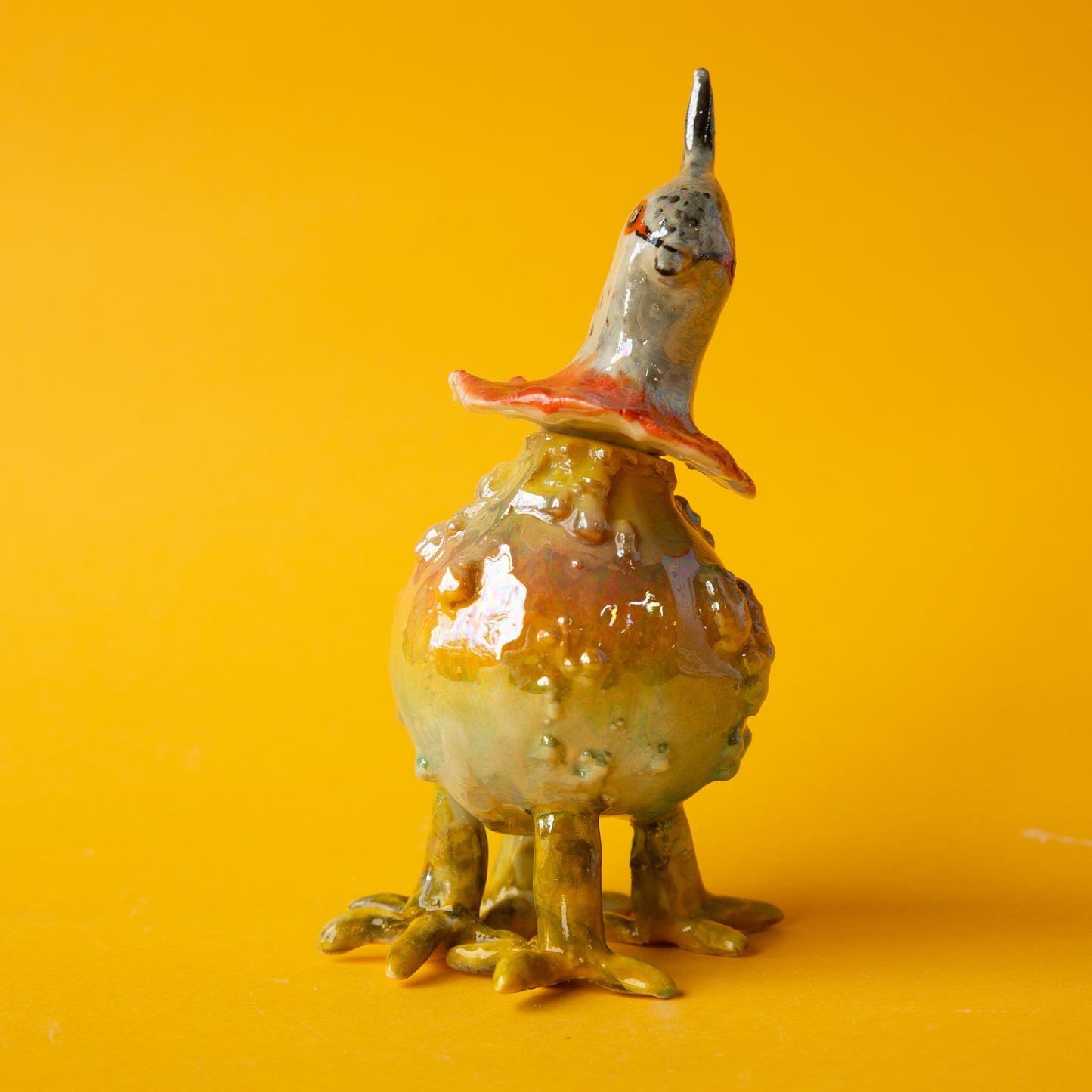 Crested Pigeon Pumpkin