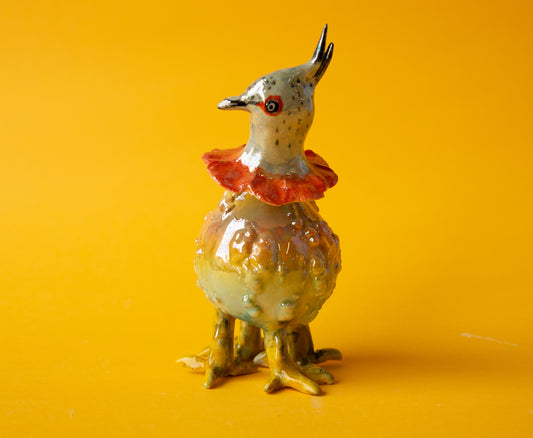 Crested Pigeon Pumpkin