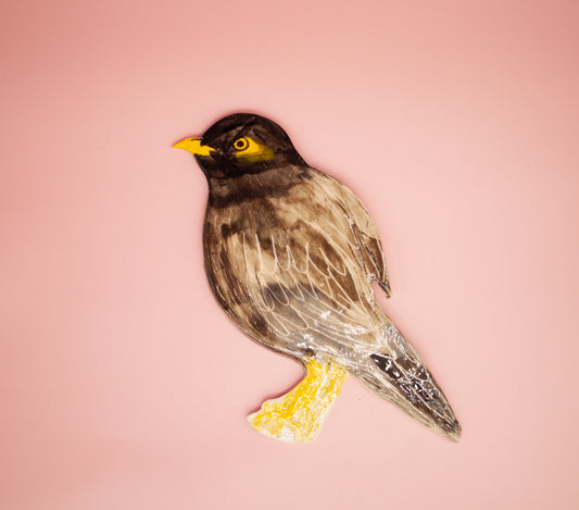 Common Myna Wall Hanging Artwork