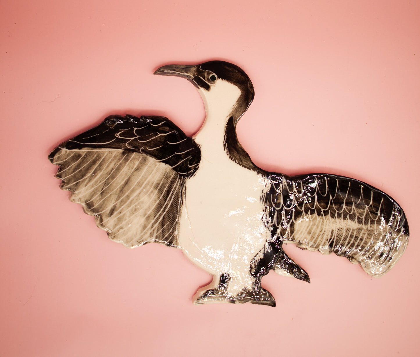 Black-faced Cormorant Wall Hanging Artwork