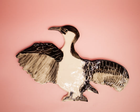 Black-faced Cormorant Wall Hanging Artwork