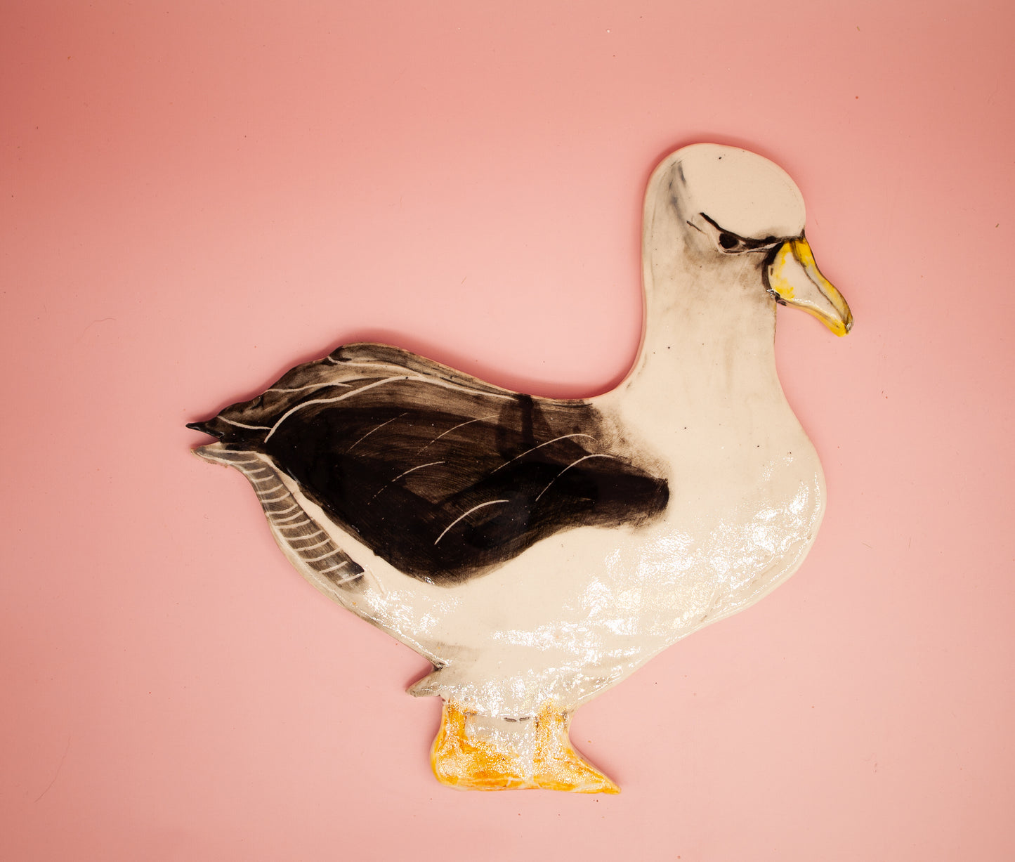 Shy Albatross Wall Hanging Artwork