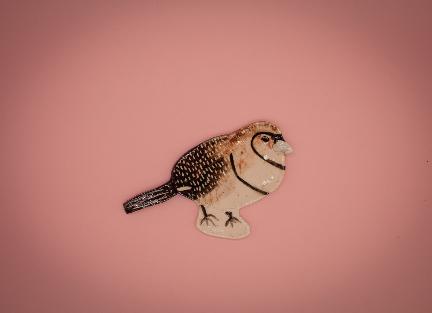 Double-barred finch 2