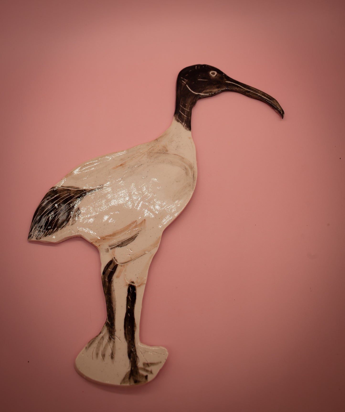 Ibis