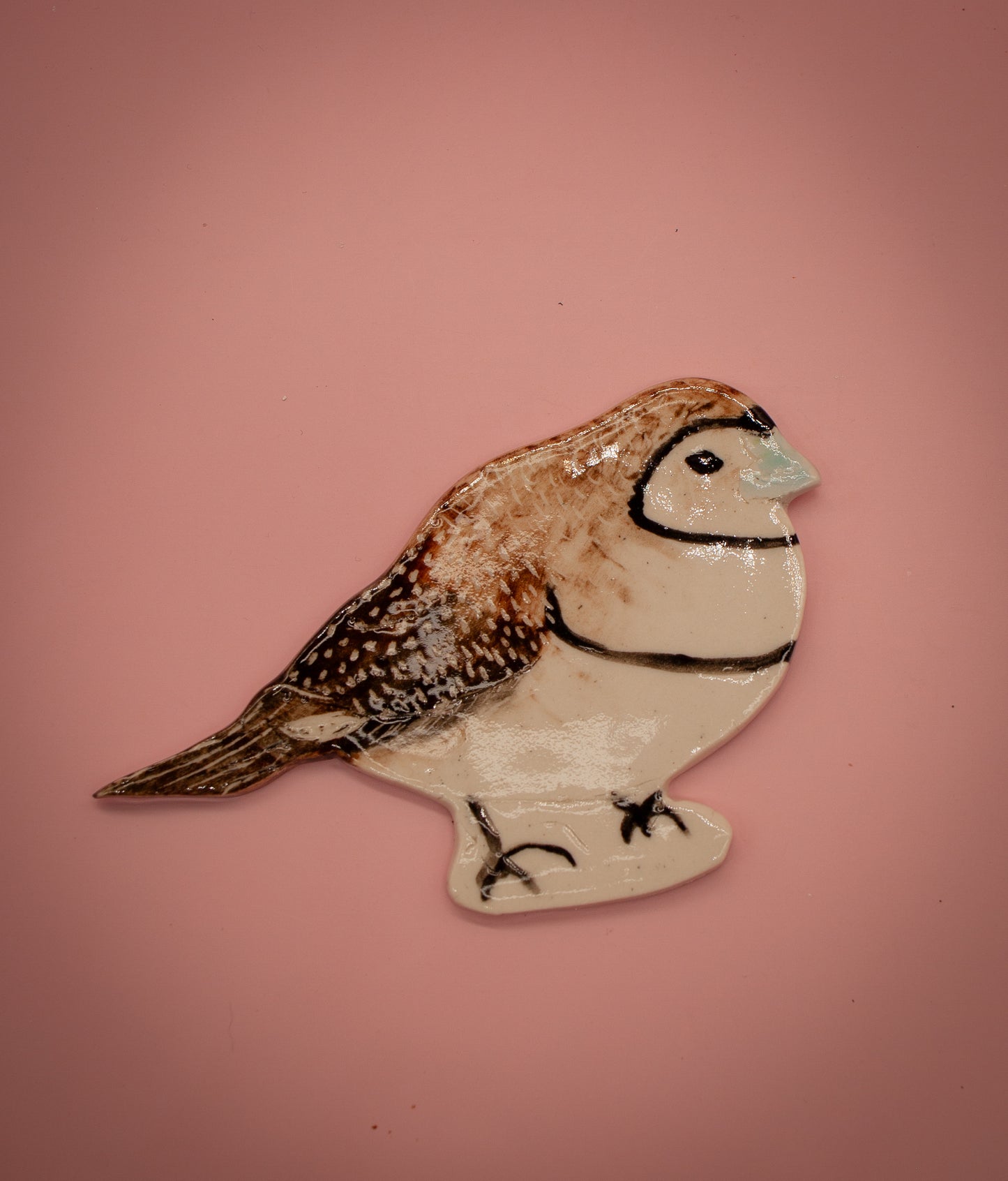 Double-barred finch