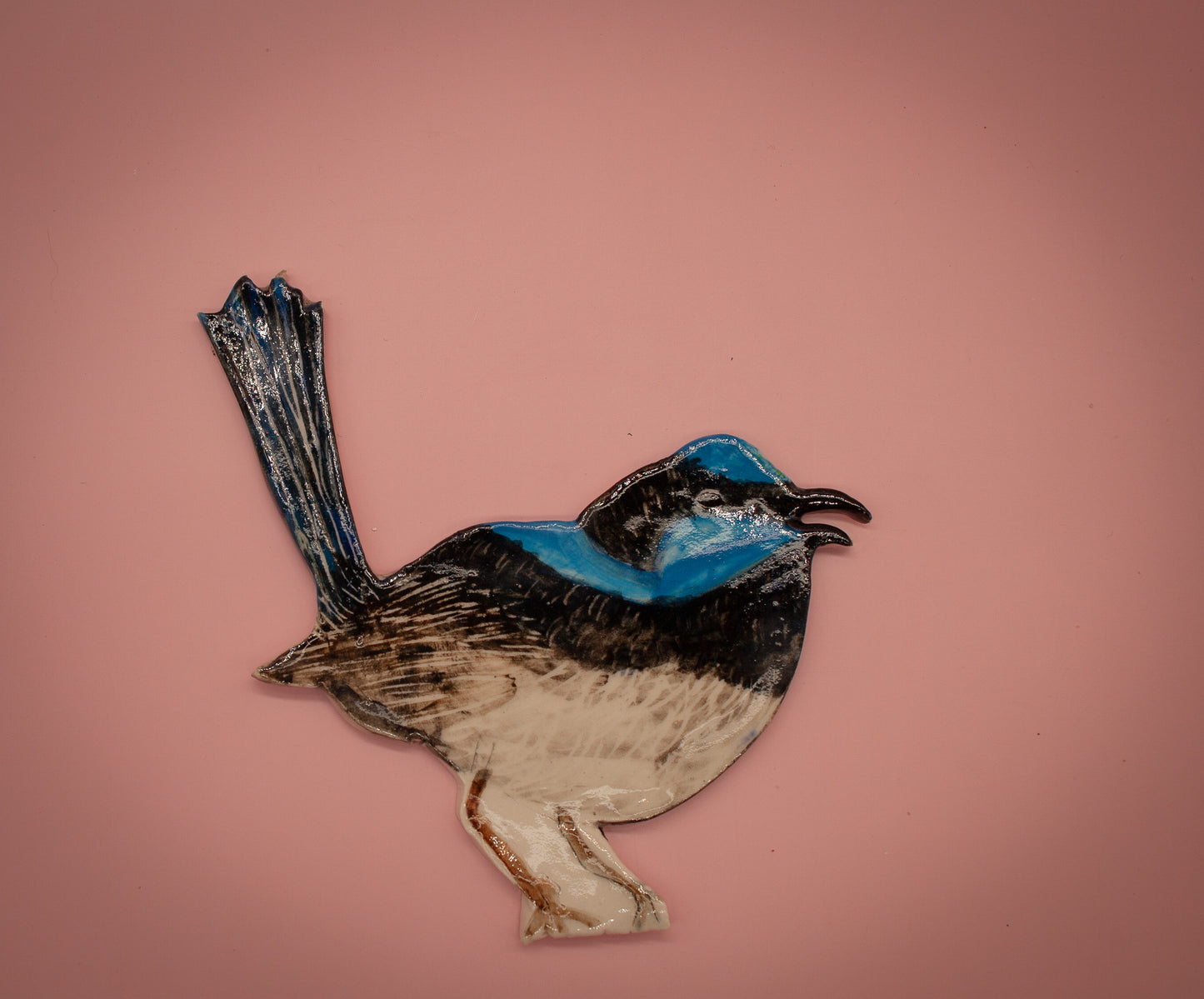 Superb fairywren