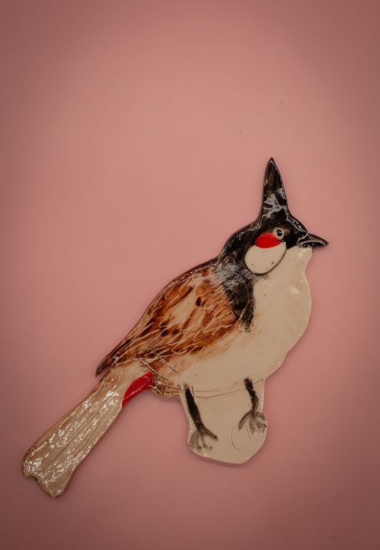 Bulbul 1