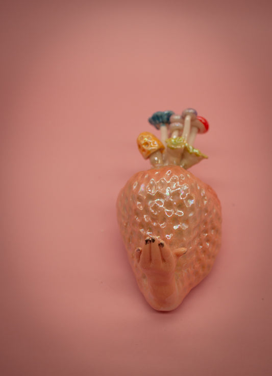 Strawberry Hand Hook