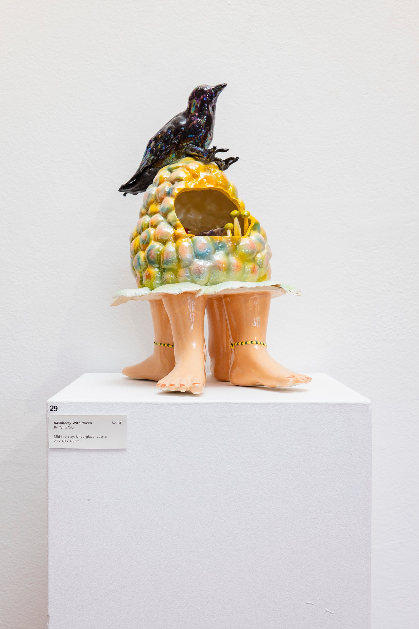 29. Raspberry With Raven Lamp