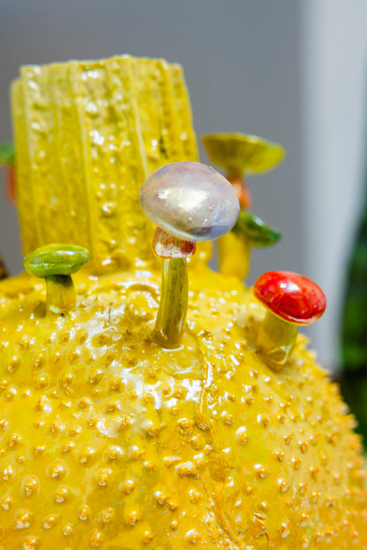 17. Dancing Gac Fruit 1