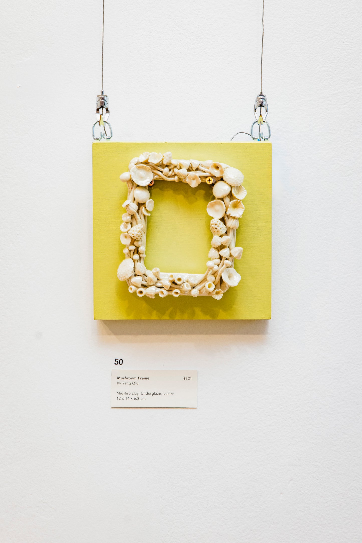 50. Mushroom Frame