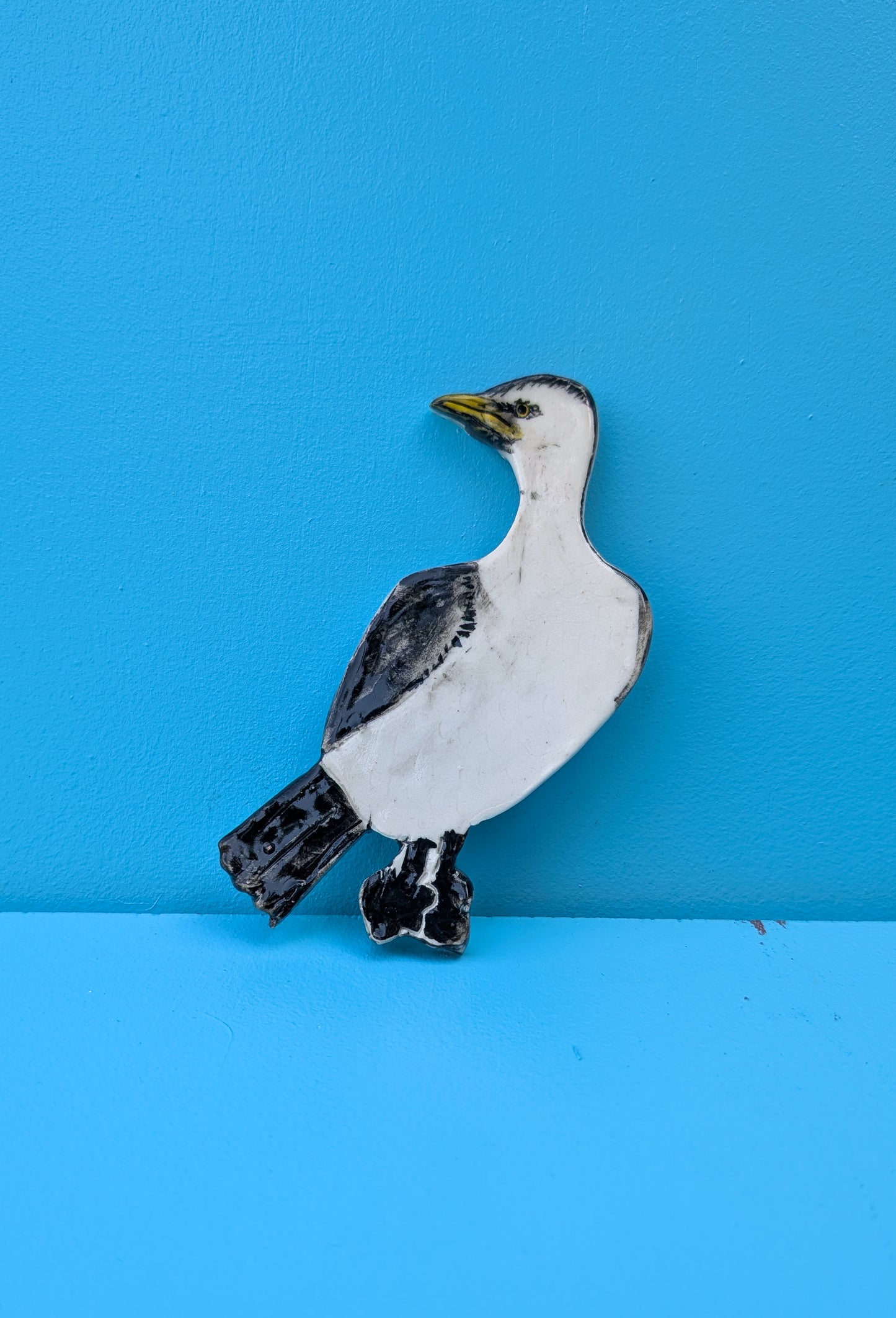 Australian Pied Cormorant Wall Hanging Artwork