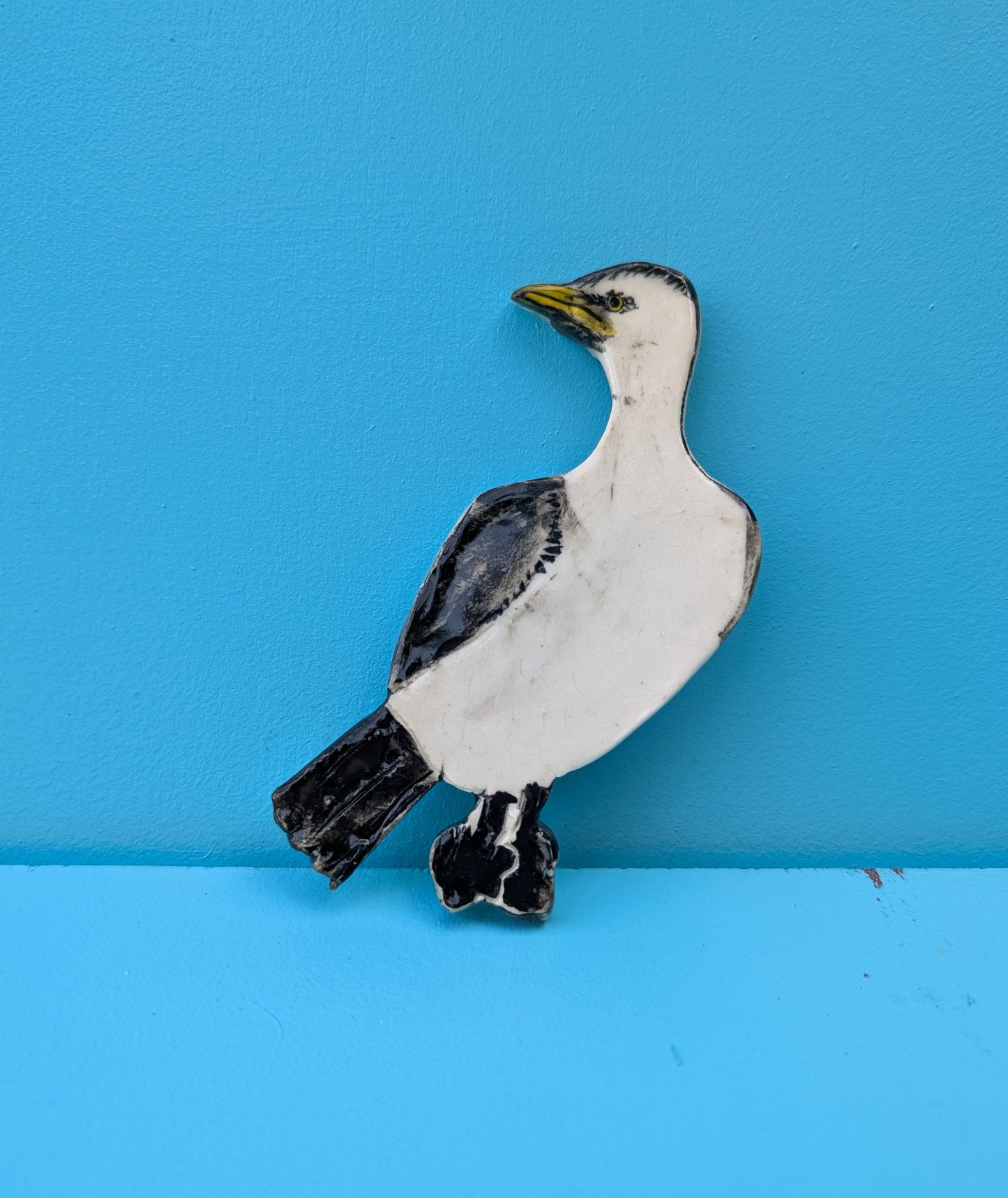 Australian Pied Cormorant Wall Hanging Artwork