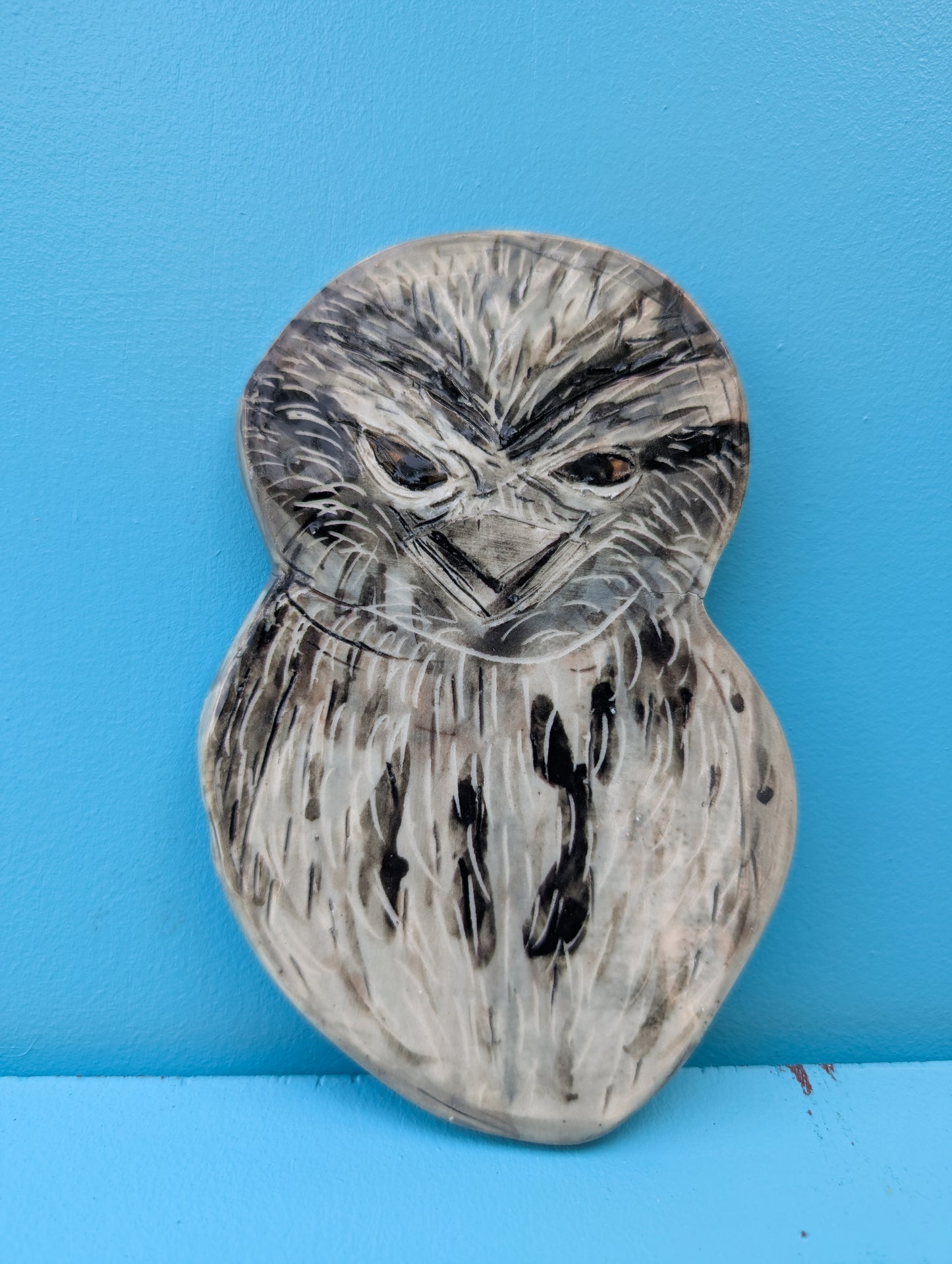 Tawny Frogmouth Wall Hanging Artwork