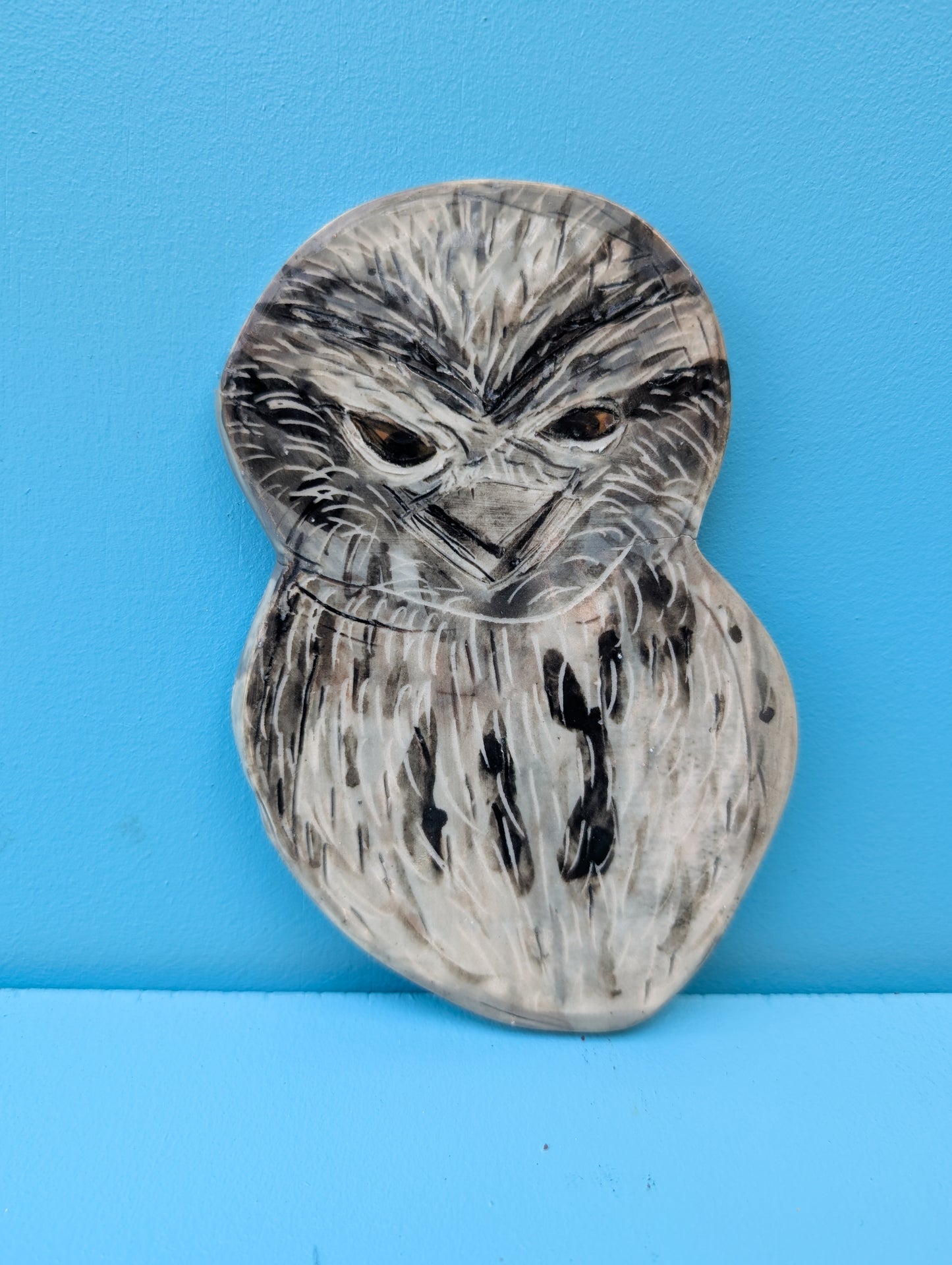 Tawny Frogmouth Wall Hanging Artwork